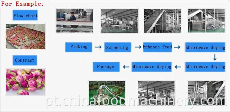 Microondas Microondas Secando segmento industrial e continue a linha de processamento